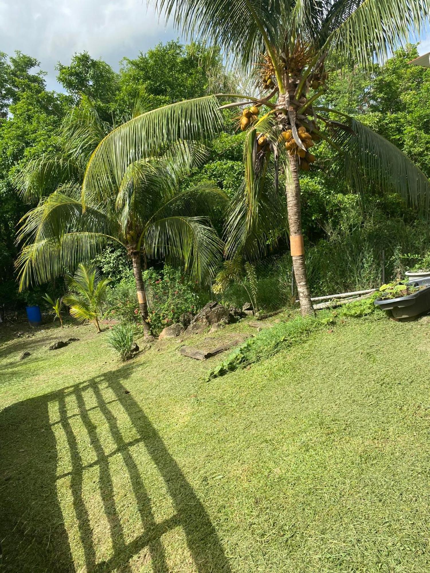 Residence Cannelle Les Trois-Ilets Bagian luar foto